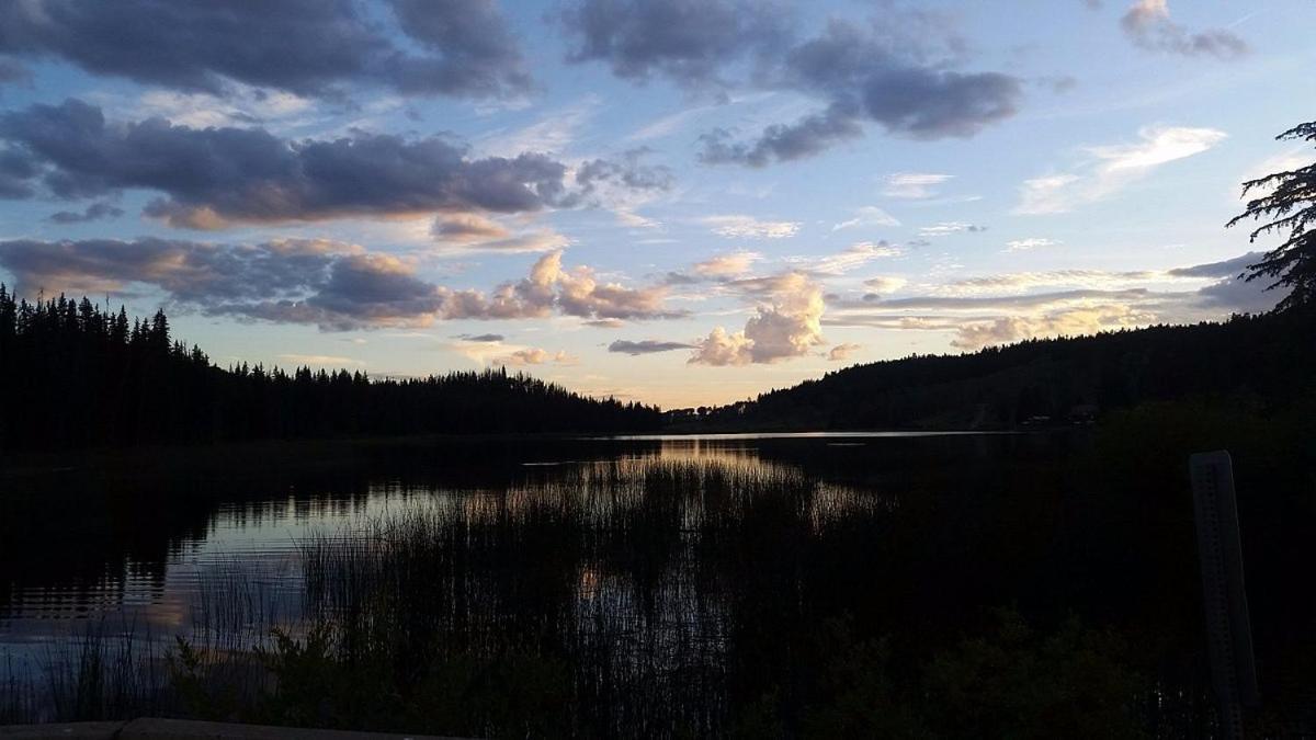 Lac Le Jeune Nature Resort Logan Lake Dış mekan fotoğraf