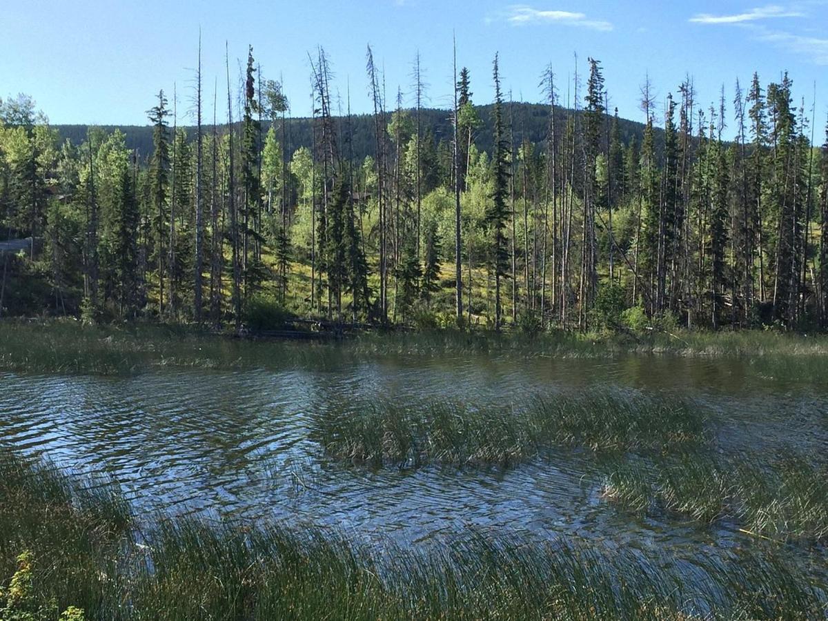 Lac Le Jeune Nature Resort Logan Lake Dış mekan fotoğraf