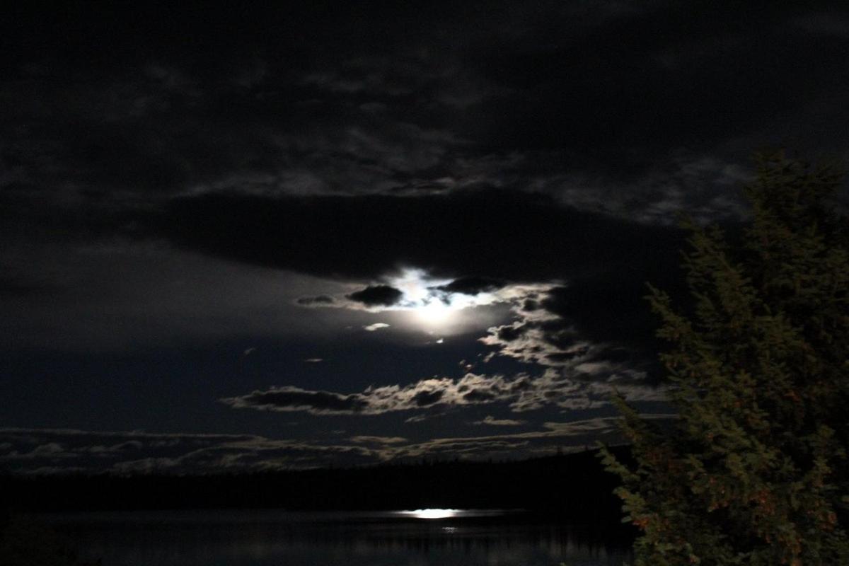 Lac Le Jeune Nature Resort Logan Lake Dış mekan fotoğraf