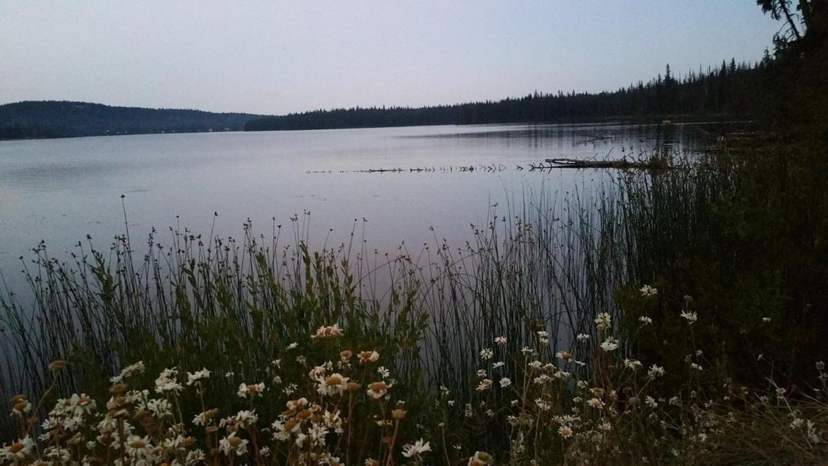 Lac Le Jeune Nature Resort Logan Lake Dış mekan fotoğraf